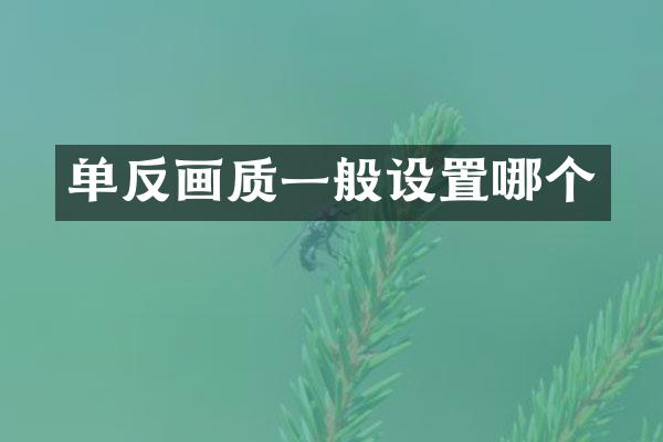 单反画质一般设置哪个