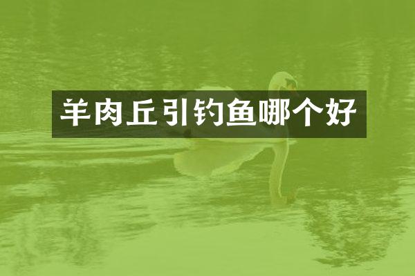 羊肉丘引钓鱼哪个好