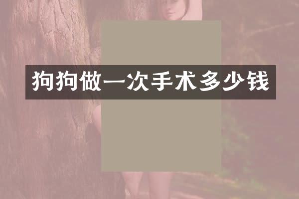 狗狗做一次手术多少钱