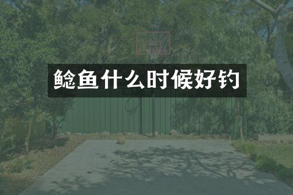 鲶鱼什么时候好钓