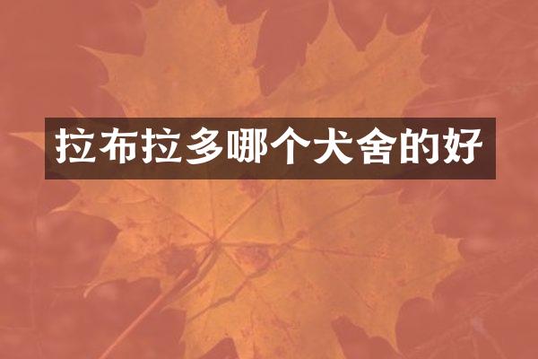 拉布拉多哪个犬舍的好