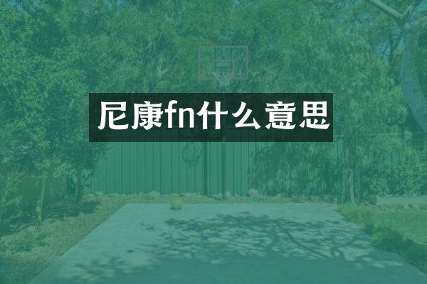 尼康fn什么意思