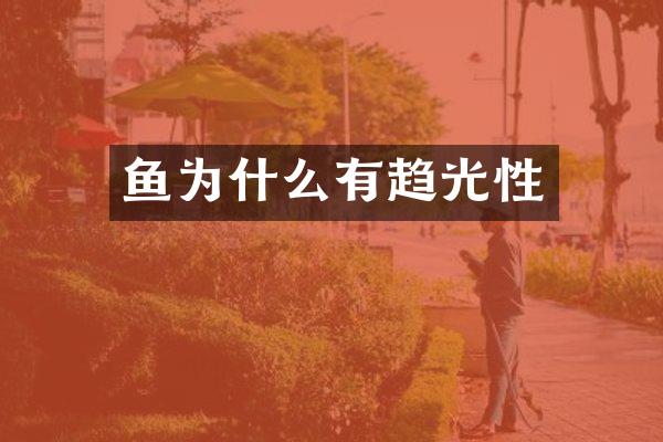 鱼为什么有趋光性