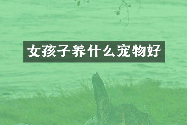 女孩子养什么宠物好