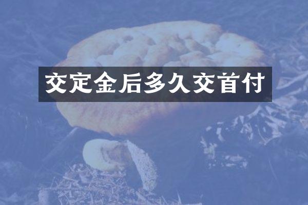 交定金后多久交首付