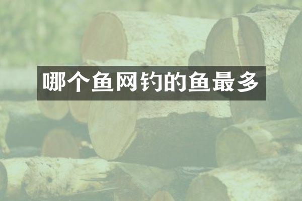 哪个鱼网钓的鱼最多