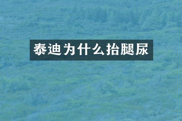 泰迪为什么抬腿尿