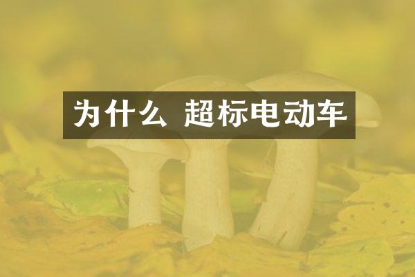 为什么 超标电动车