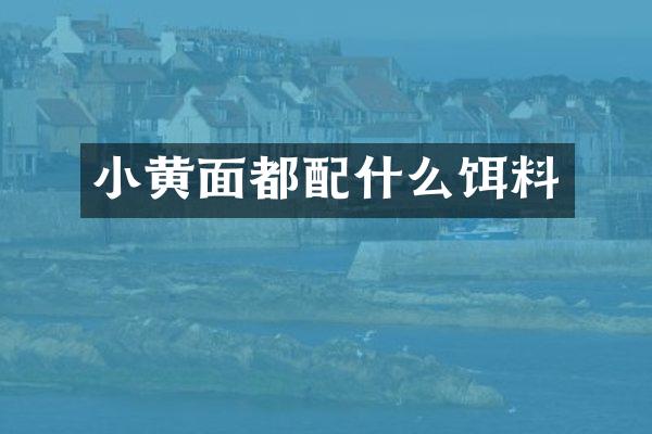 小黄面都配什么饵料