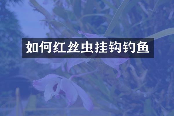 如何红丝虫挂钩钓鱼