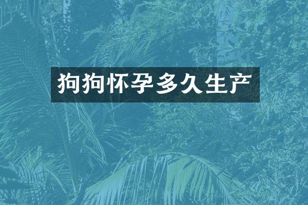 狗狗怀孕多久生产