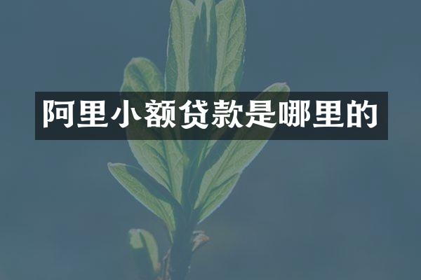 阿里小额贷款是哪里的