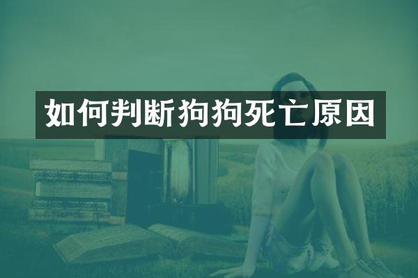如何判断狗狗死亡原因