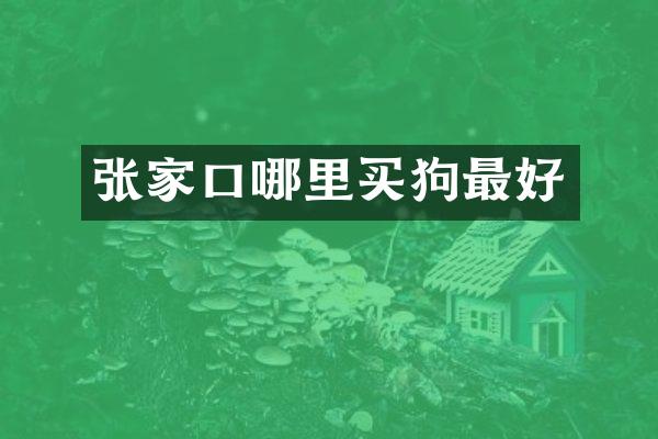 张家口哪里买狗最好
