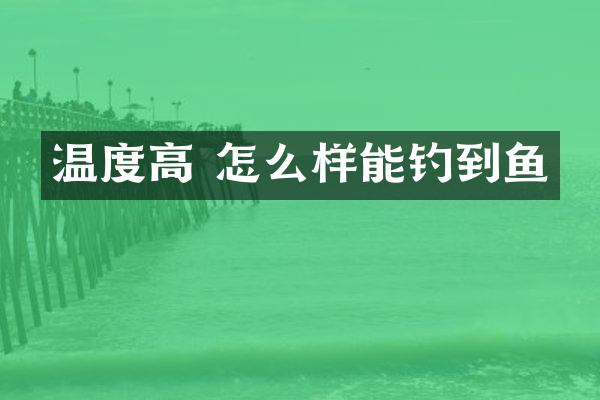 温度高 怎么样能钓到鱼