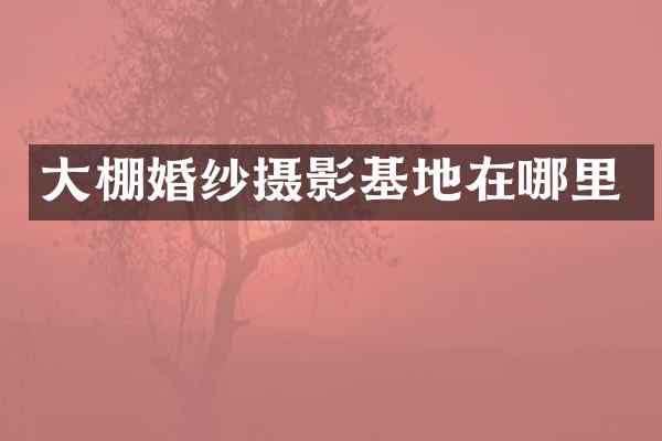 大棚婚纱摄影基地在哪里