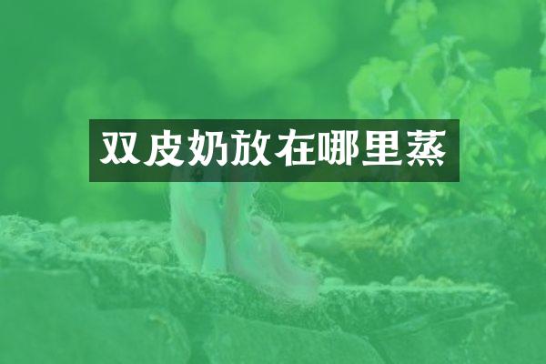 双皮奶放在哪里蒸