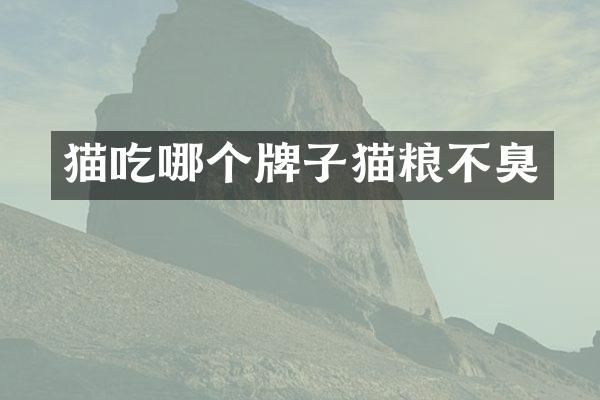 猫吃哪个牌子猫粮不臭