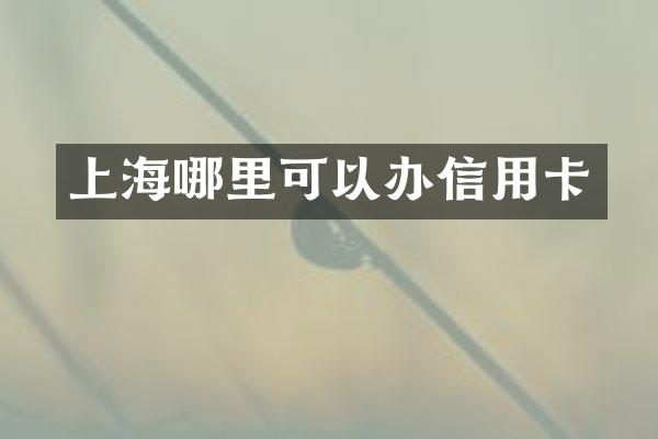 上海哪里可以办信用卡