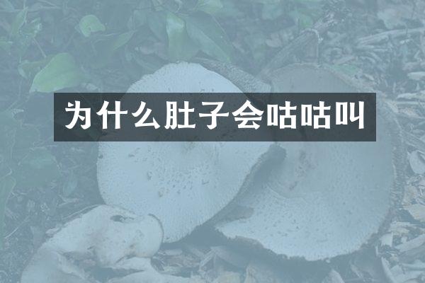 为什么肚子会咕咕叫