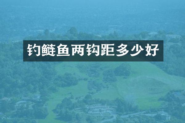 钓鲢鱼两钩距多少好