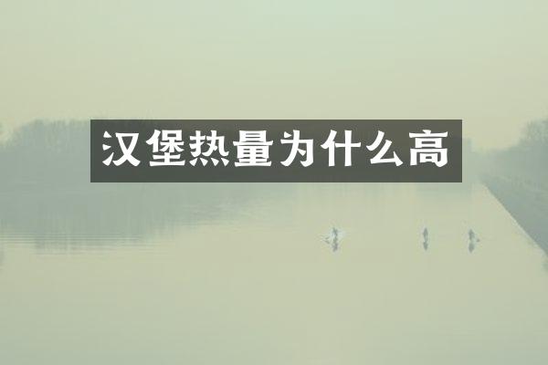 汉堡热量为什么高