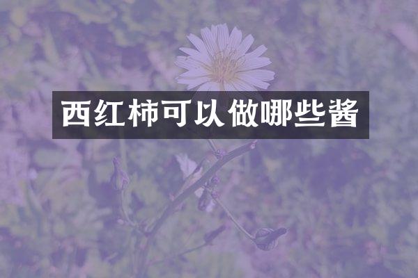 西红柿可以做哪些酱