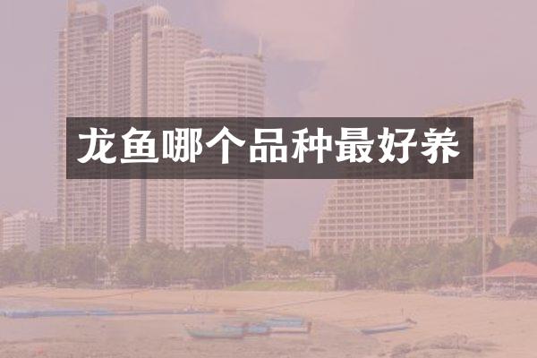 龙鱼哪个品种最好养