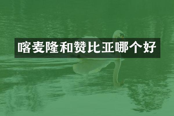 喀麦隆和赞比亚哪个好