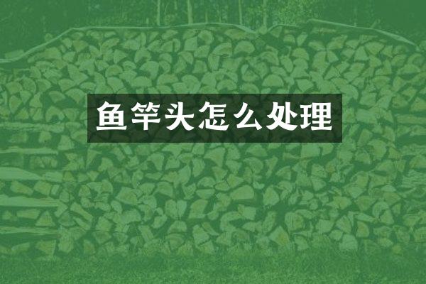 鱼竿头怎么处理
