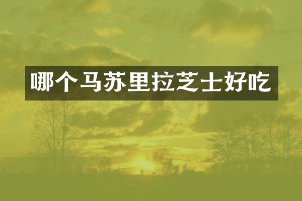 哪个马苏里拉芝士好吃