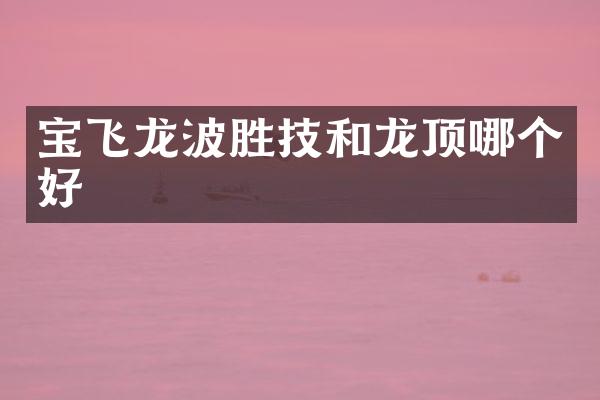 宝飞龙波胜技和龙顶哪个好