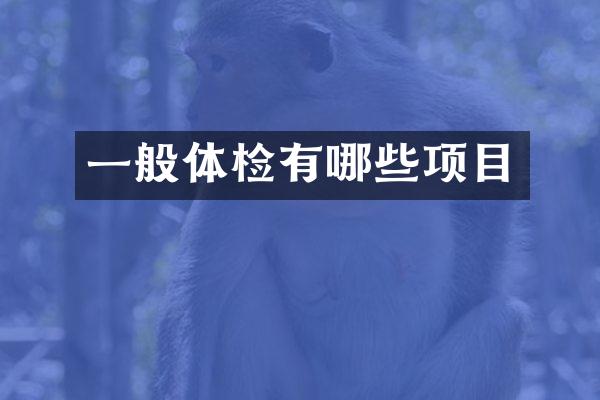 一般体检有哪些项目