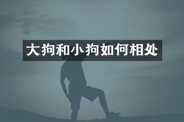 大狗和小狗如何相处