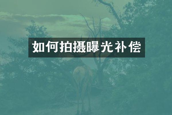 如何拍摄曝光补偿