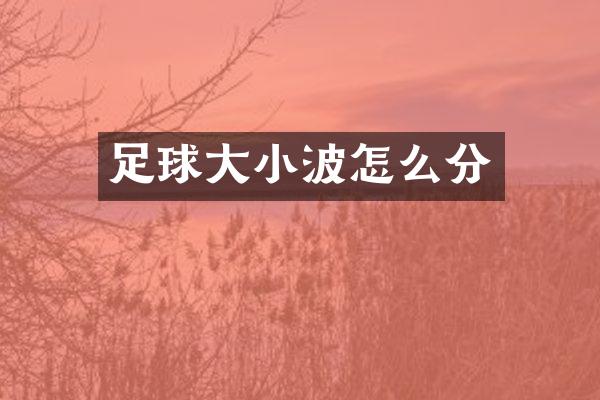 足球大小波怎么分