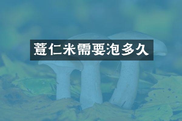 薏仁米需要泡多久
