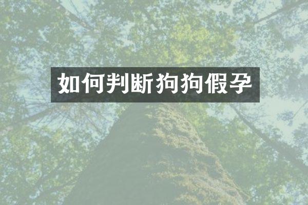 如何判断狗狗假孕