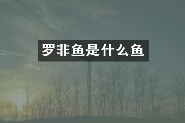 罗非鱼是什么鱼