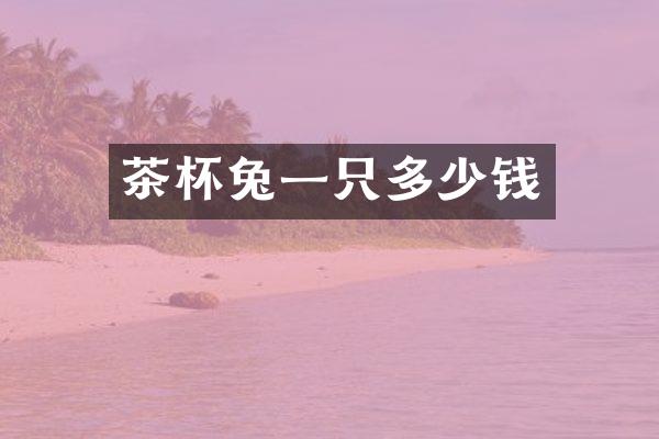 茶杯兔一只多少钱