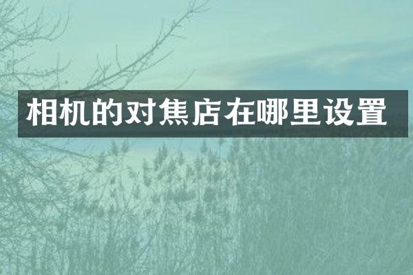 相机的对焦店在哪里设置