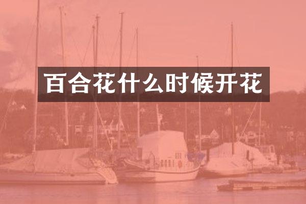 百合花什么时候开花