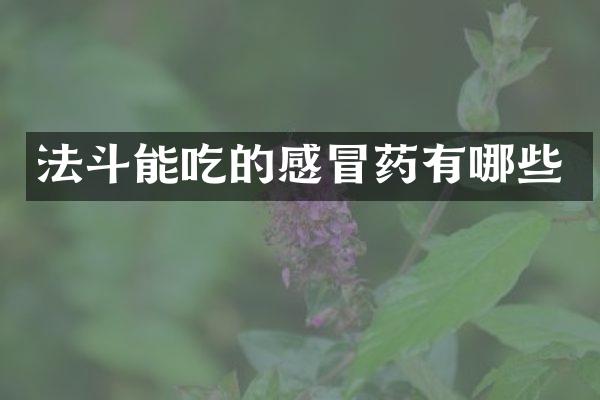 法斗能吃的感冒药有哪些