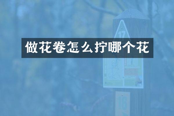 做花卷怎么拧哪个花