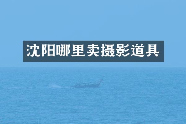 沈阳哪里卖摄影道具
