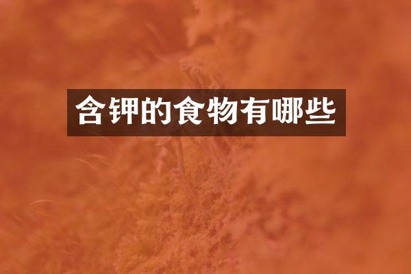 含钾的食物有哪些