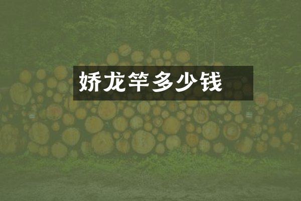 娇龙魚竿多少钱