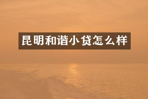 昆明和谐小贷怎么样