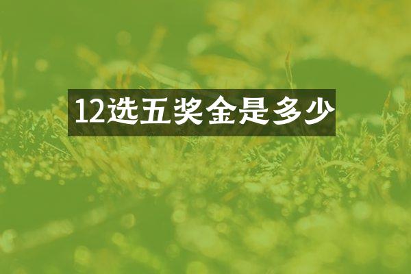 12选五奖金是多少