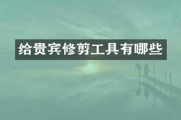 给贵宾修剪工具有哪些